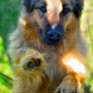 Meet your Posher, Steven